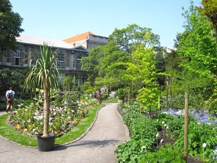 Plantentuin, Belgium